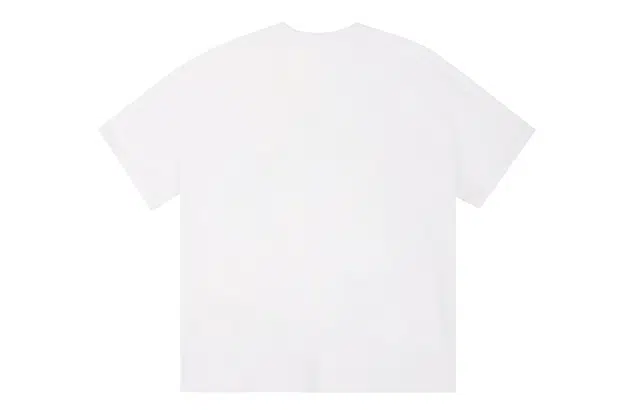 ICONS Lab ICS T