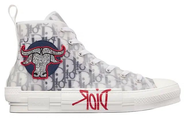 DIOR B23