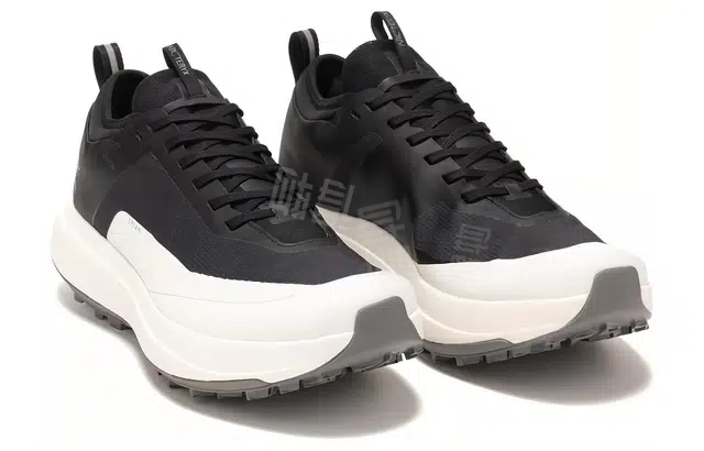 Arcteryx SYLAN GTX