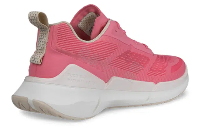 ecco 2.2