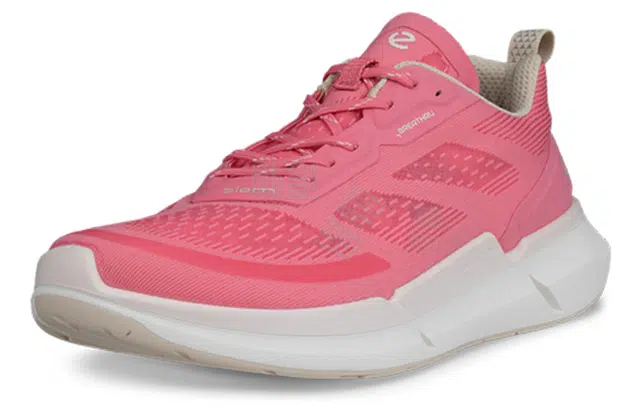 ecco 2.2