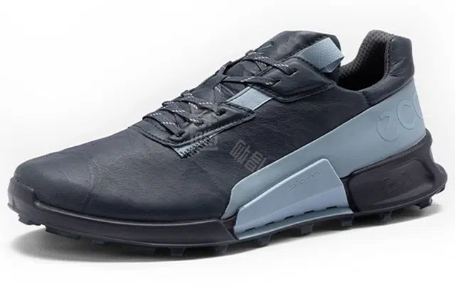 ecco 2.1
