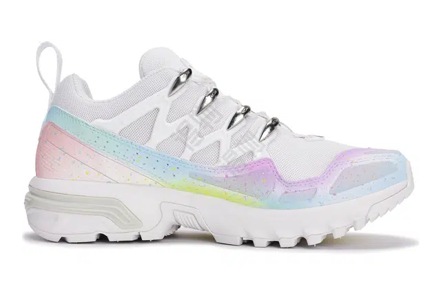 SALOMON ACS +