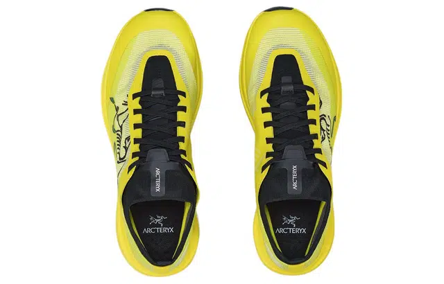 Arcteryx SYLAN PRO