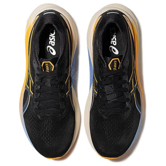 Asics Gel-Kayano 30