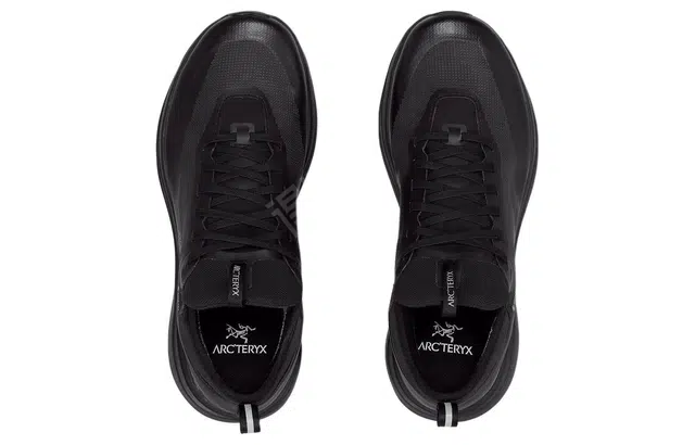 Arcteryx SYLAN GTX
