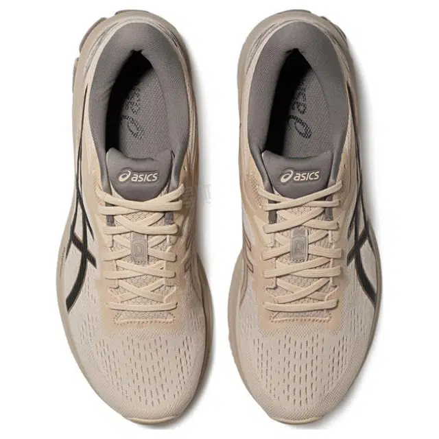 Asics GT-1000 10