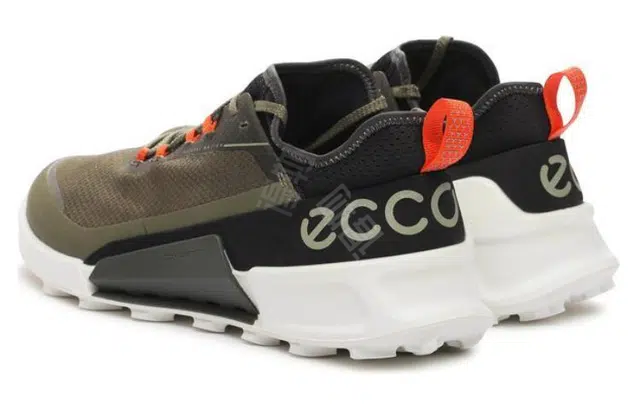 ecco