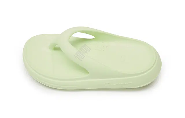 Champion Campus Flip Cloud 1