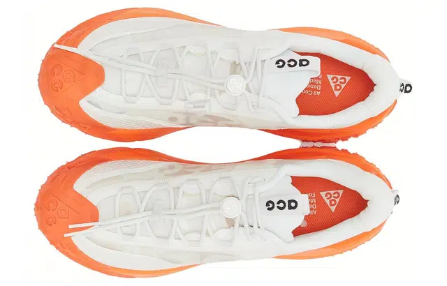 Nike ACG Mountain Fly Low 2