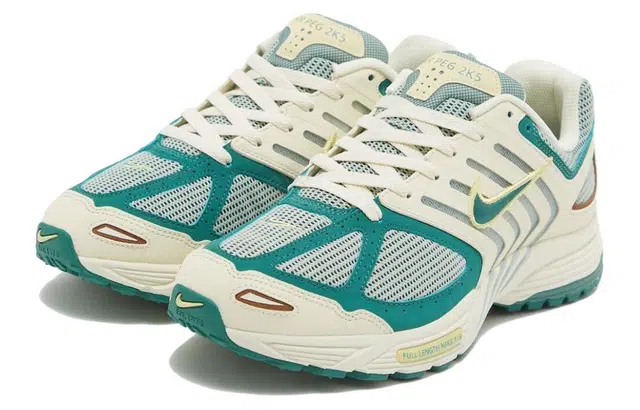 Nike Air Pegasus 2K5