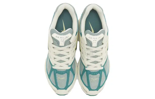 Nike Air Pegasus 2K5