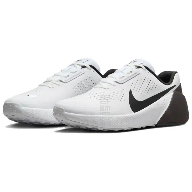 Nike Air Zoom TR 1