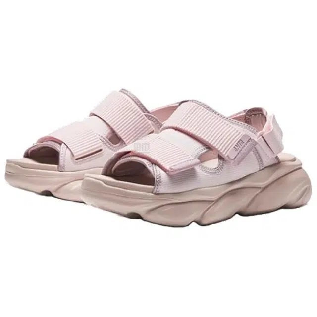 Anta