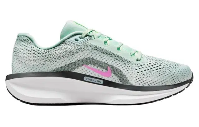 Nike Winflo 11 2024