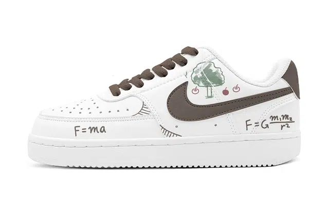 Nike Court Vision 1 520