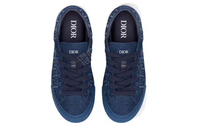 DIOR B33 Oblique