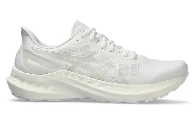 Asics GT-2000 12