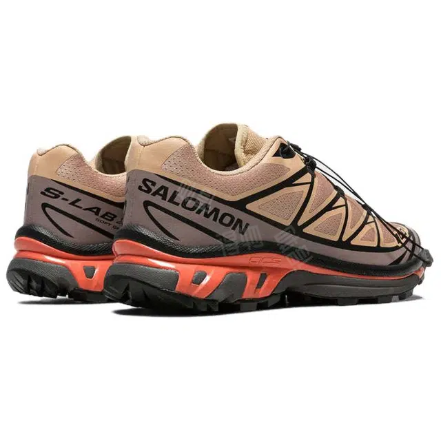 SALOMON XT-6