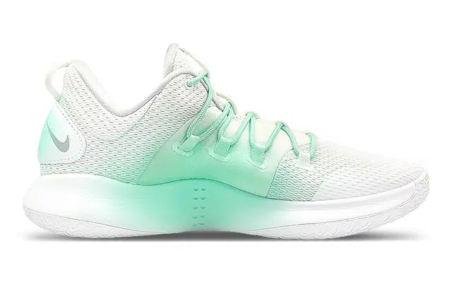 Nike Hyperdunk 10