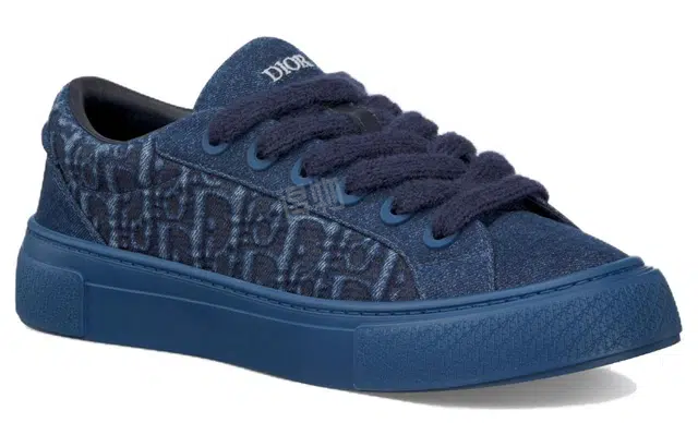 DIOR B33 Oblique