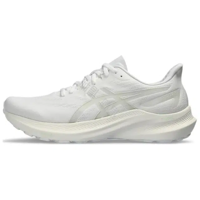 Asics GT-2000 12