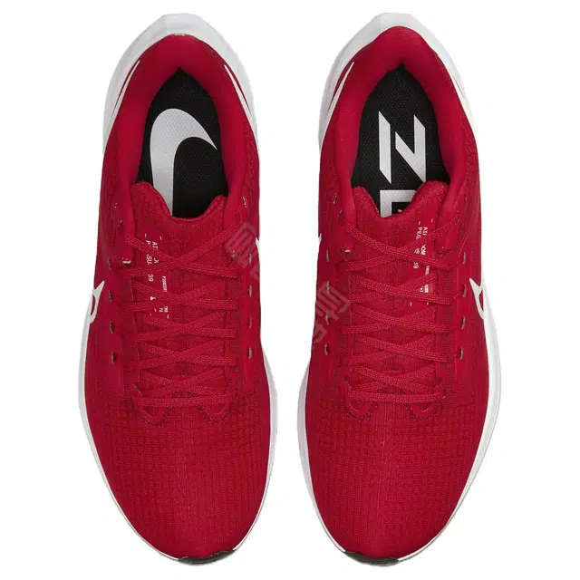 Nike Air Zoom Pegasus 39
