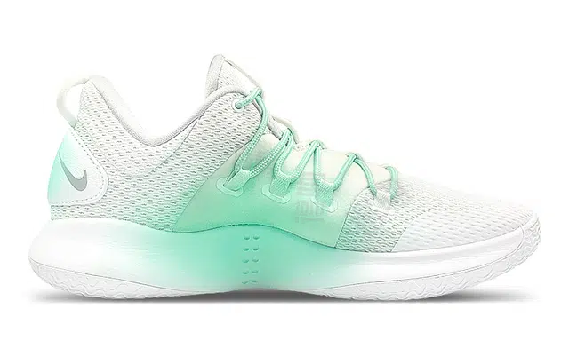 Nike Hyperdunk 10