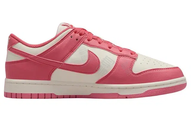 Nike Dunk Low Next Nature