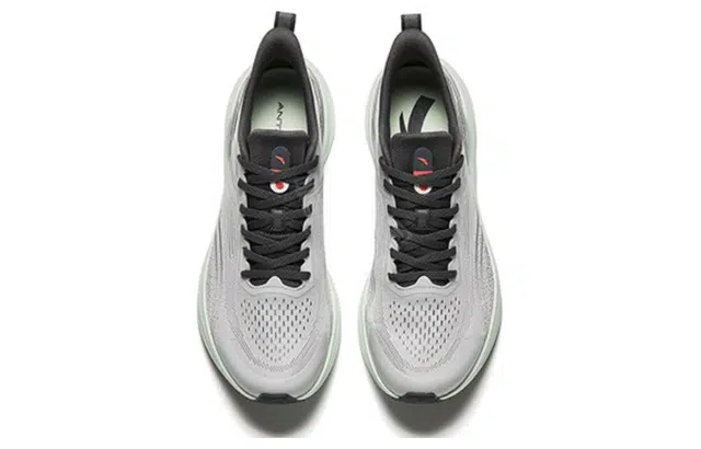 Anta 6