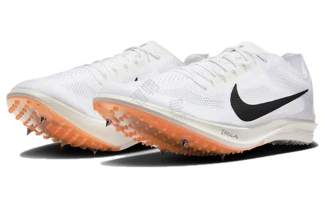 Nike Dragonfly 2 Proto