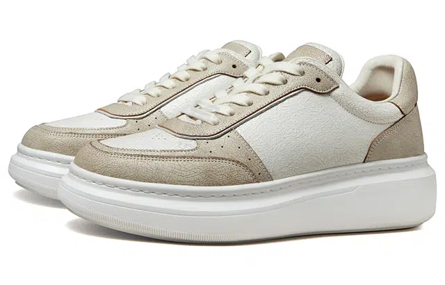 THOM WILLS Trainer