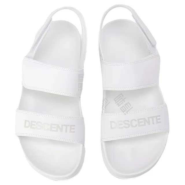 DESCENTE