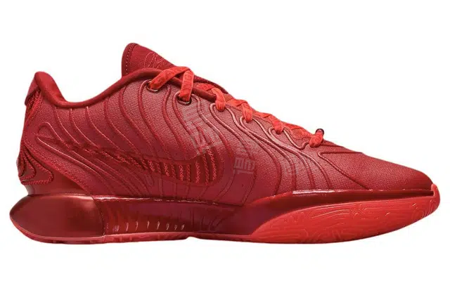 Nike Lebron 21 James Gang