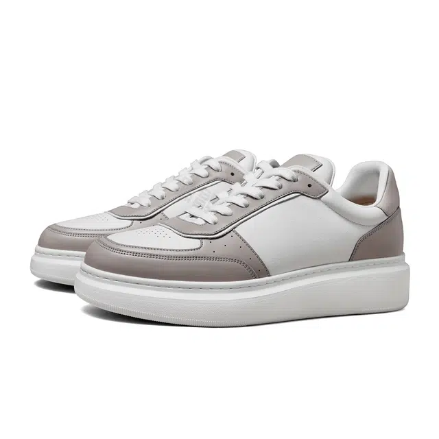 THOM WILLS trainer