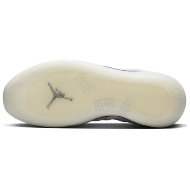Jordan Air Jordan 39