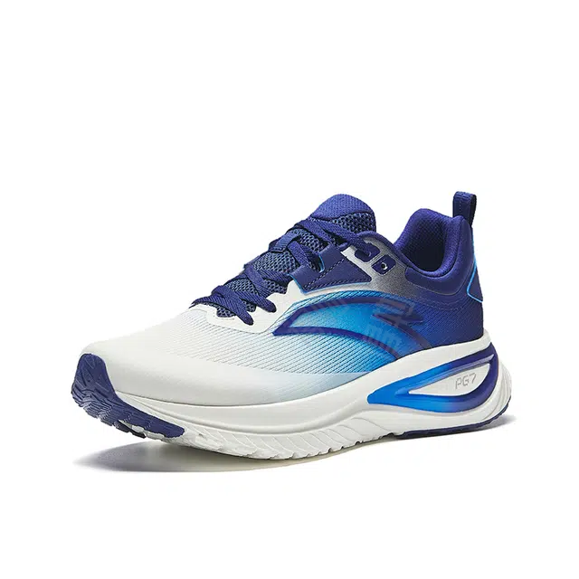 Anta PG7
