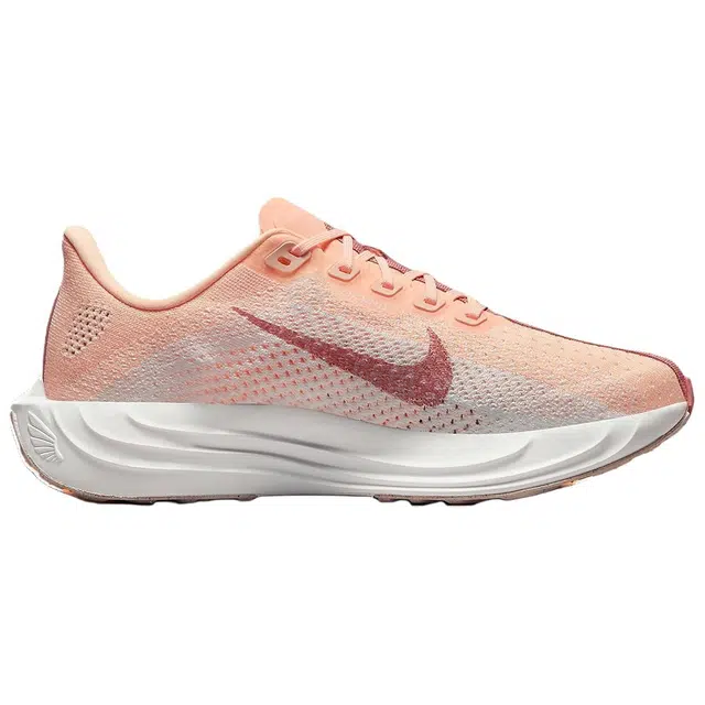 Nike Flex Plus Pegasus Plus