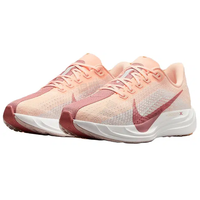 Nike Flex Plus Pegasus Plus