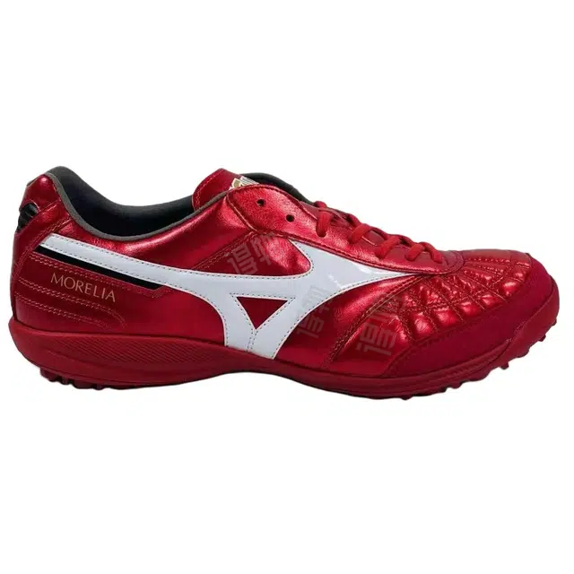 Mizuno SALA TF