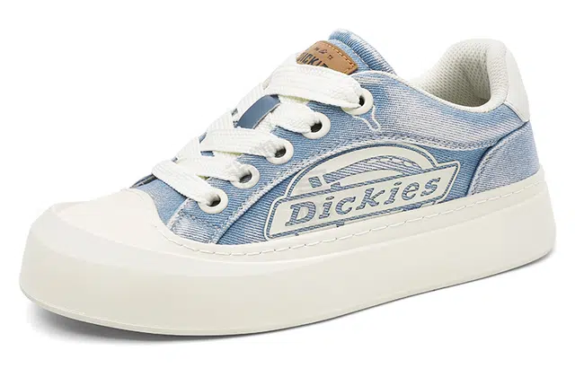 Dickies 100
