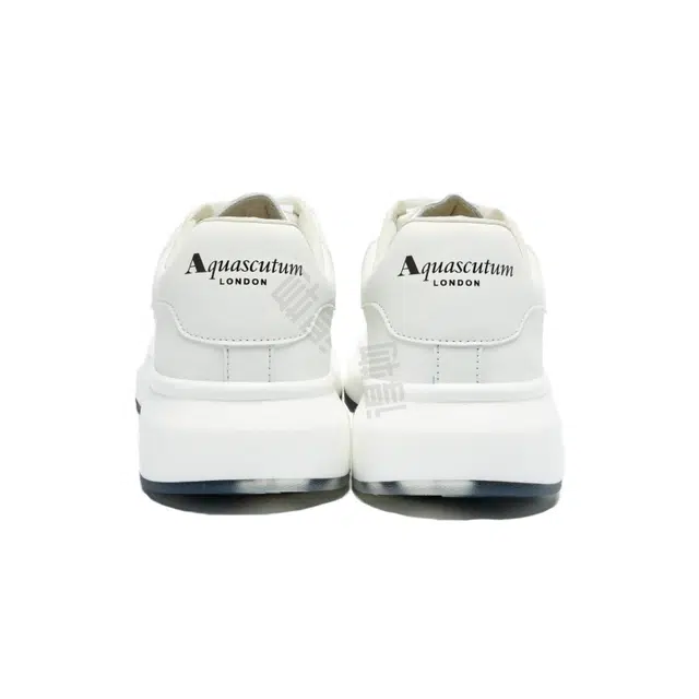 AQUASCUTUM