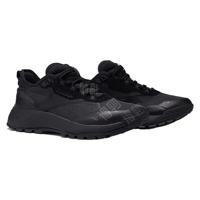 Reebok Dmx Trail GTX