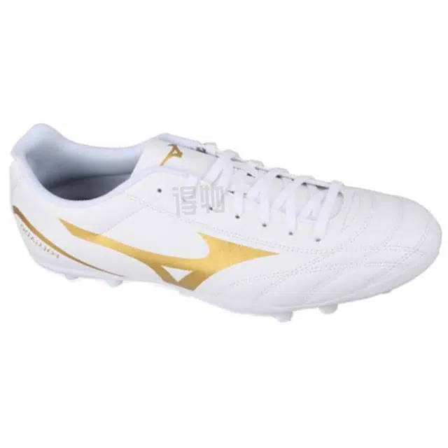 Mizuno Folgado WIDE AG