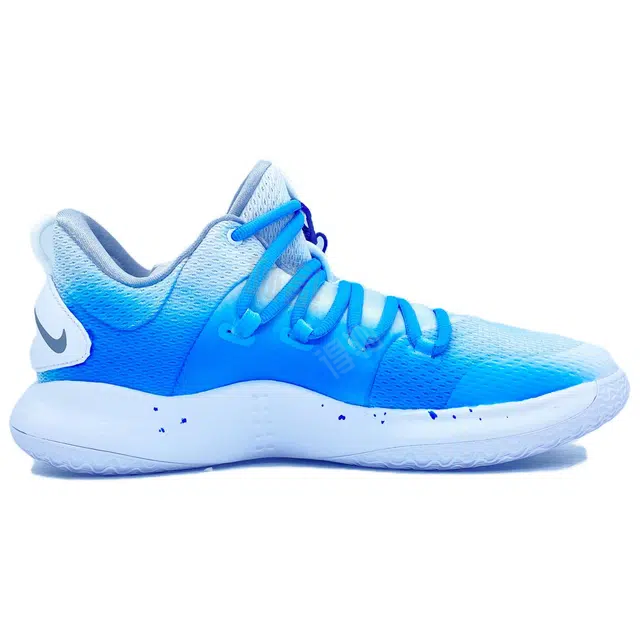 Nike Hyperdunk X low CP Zoom