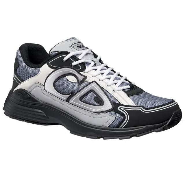 DIOR B30