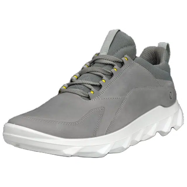 ecco Mx