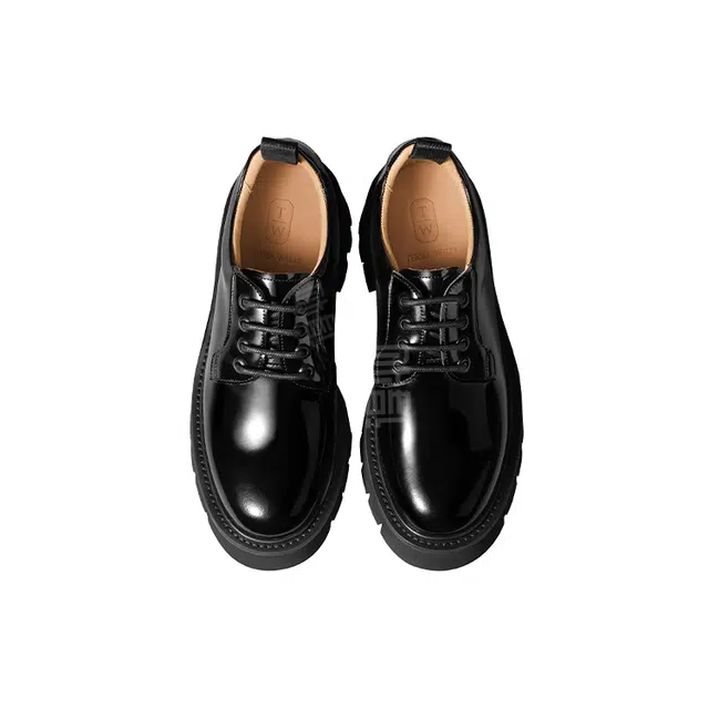 THOM WILLS 5.5cm
