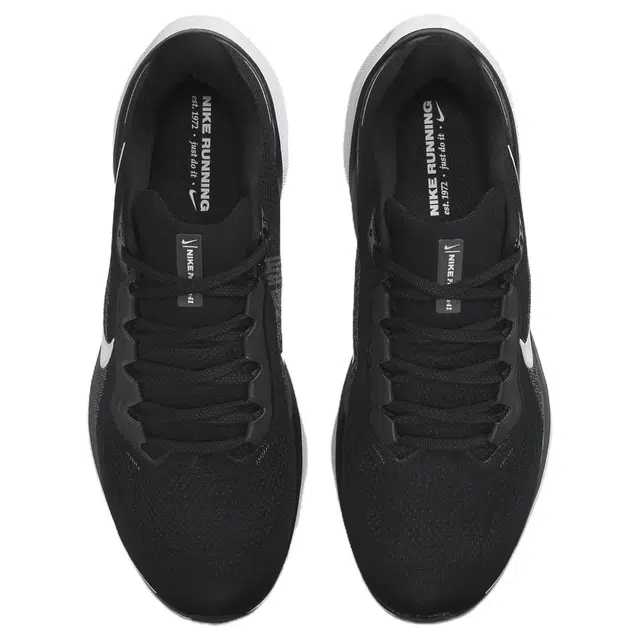 Nike Pegasus 41