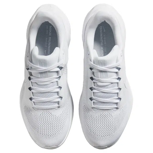 Nike Pegasus 41 White
